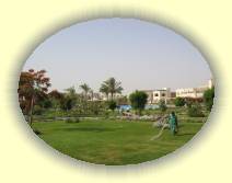 IMG_2007_05_31 11_54_27 * 2272 x 1704 * (485KB)
